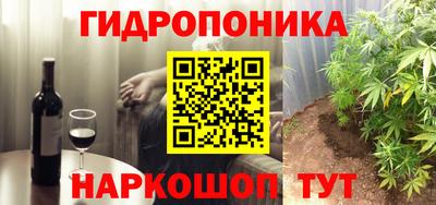 шишки Пыть-Ях