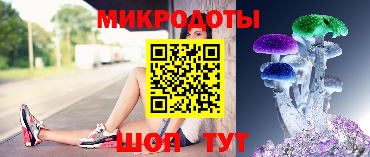 Галлюциногенные грибы Psilocybine cubensis Пенза