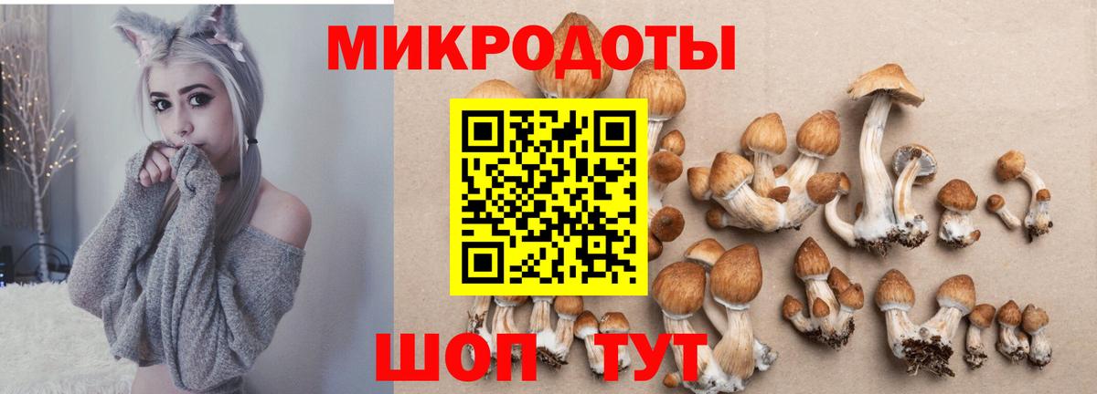 Псилоцибиновые грибы Psilocybe  Вход с VPN  Пенза 